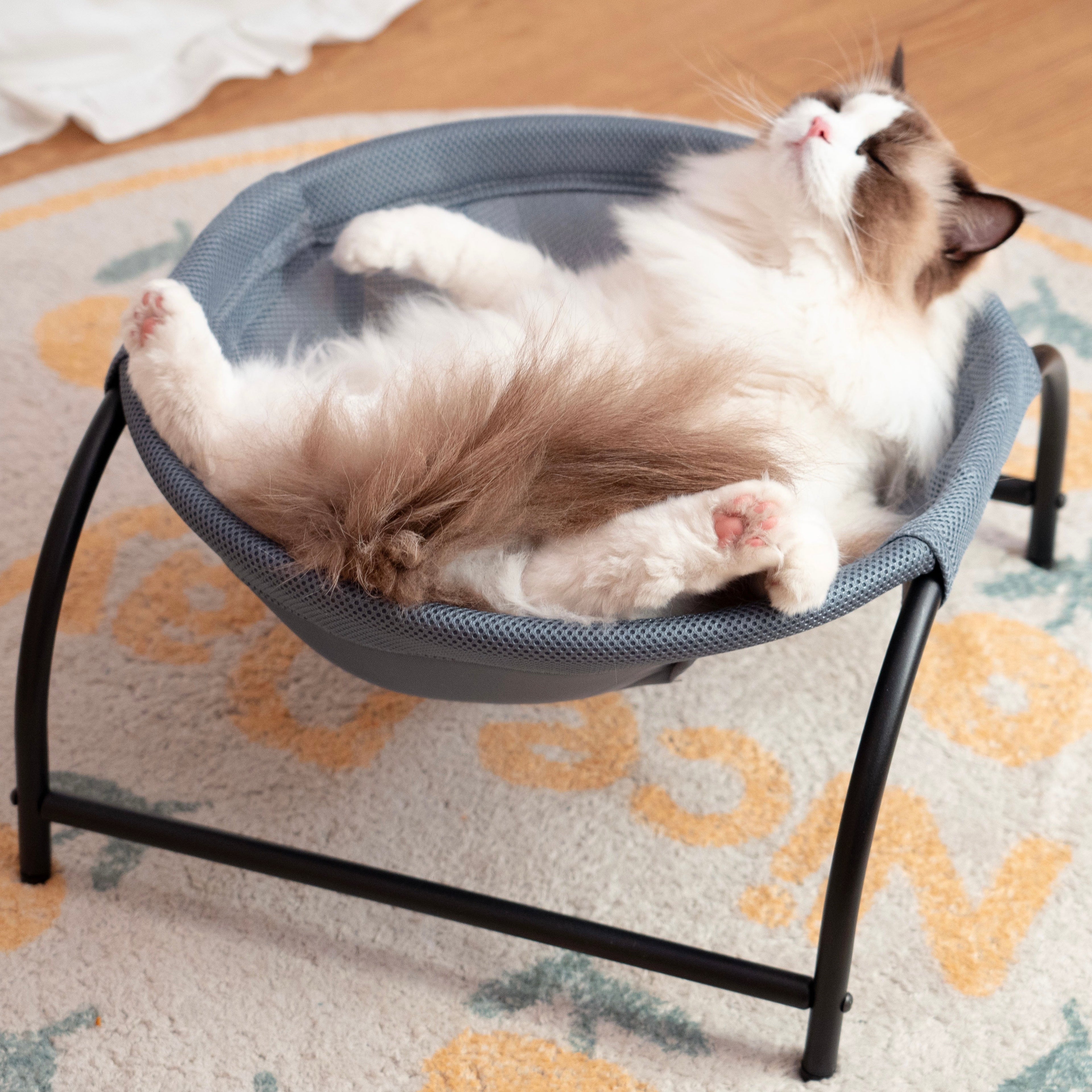 Pet Beds