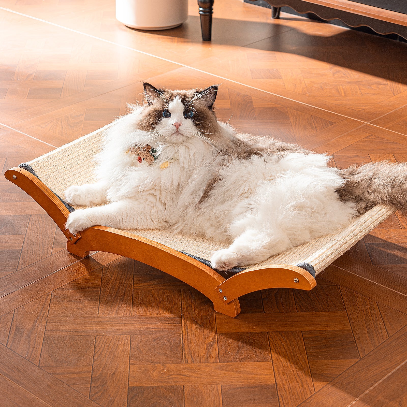 Cat Scratcher