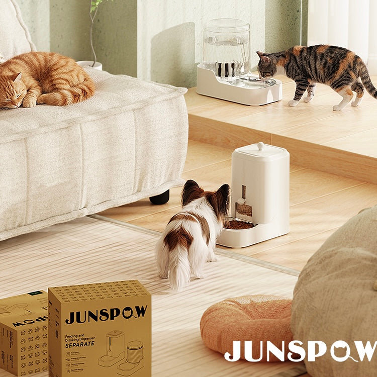 Pet Feeder & Water Dispenser