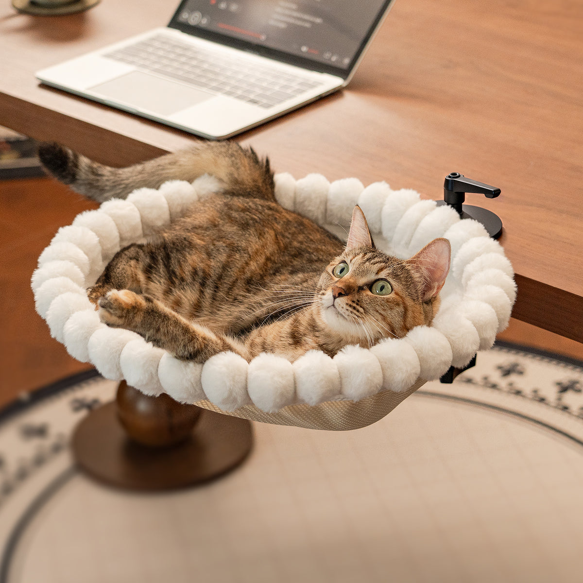 Cat Desk Bed, 2-in-1 Design, Soft Perch, Holds 40lb White+One Clip