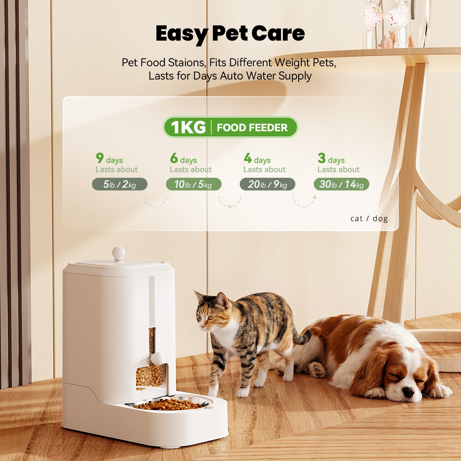 Automatic Pet Feeder, Adjustable Dry Food Dispenser for Cats & Dogs