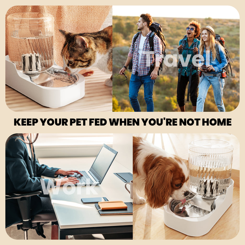 3L Automatic Cat & Dog Water Dispenser, Adjustable Flow Auto Pet Water Fountain