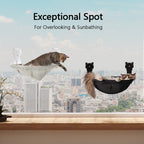 Cat Window Hammock Bed, Foldable Cordless Design Sturdy Perch for Indoor Cats Sunbathing, Holds 40 Pounds